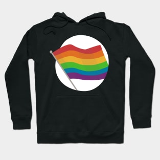 Let Your Pride Fly High Hoodie